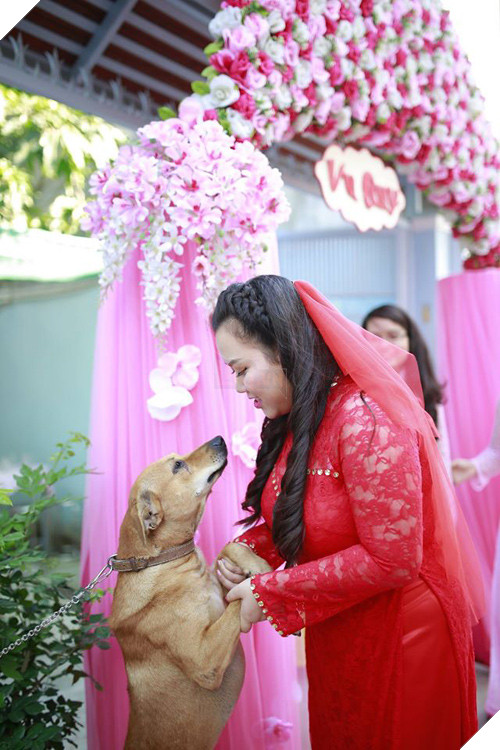 NGAY THUONG HAY TREU ‘SEN’ NHUNG DEN NGAY CO CHU THEO CHONG THI BOSS NGAO LAI ‘KHOC HET NUOC MAT’ 6 Ngày thường hay trêu 'sen' nhưng đến ngày cô chủ theo chồng thì boss ngáo lại 'khóc hết nước mắt'