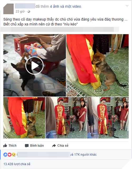 NGAY THUONG HAY TREU ‘SEN’ NHUNG DEN NGAY CO CHU THEO CHONG THI BOSS NGAO LAI ‘KHOC HET NUOC MAT’ 7 Ngày thường hay trêu 'sen' nhưng đến ngày cô chủ theo chồng thì boss ngáo lại 'khóc hết nước mắt'