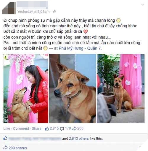 NGAY THUONG HAY TREU ‘SEN’ NHUNG DEN NGAY CO CHU THEO CHONG THI BOSS NGAO LAI ‘KHOC HET NUOC MAT’ 4 Ngày thường hay trêu 'sen' nhưng đến ngày cô chủ theo chồng thì boss ngáo lại 'khóc hết nước mắt'
