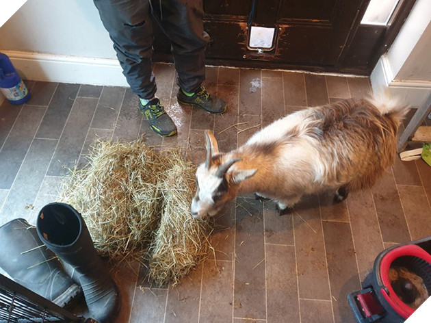 
Sau khi đi bão về thì được chiêu đãi một bữa ra trò.