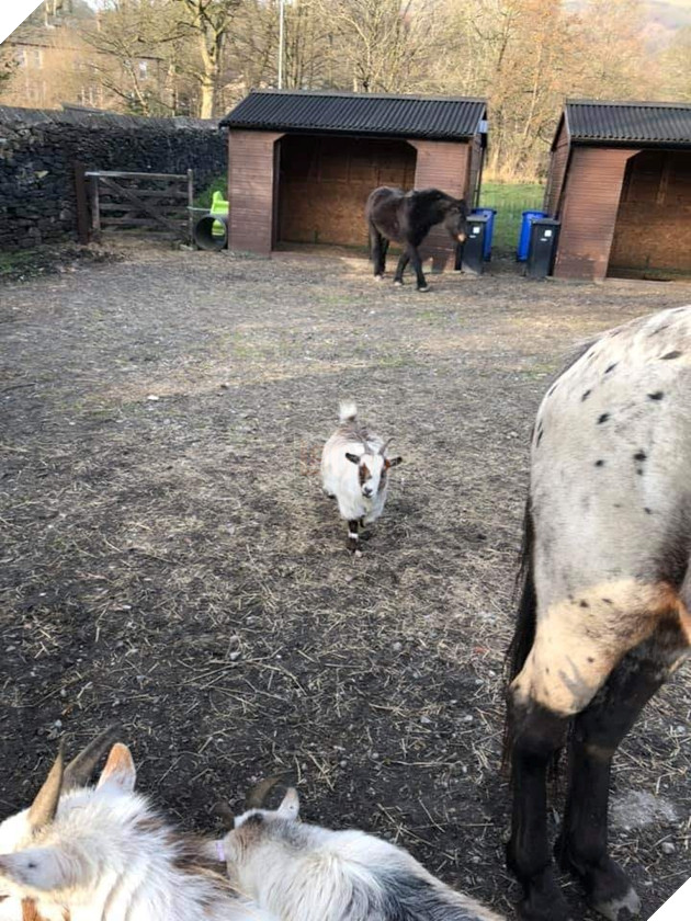 
Nó đã trải qua một chuyến hành trình thật vĩ đại.