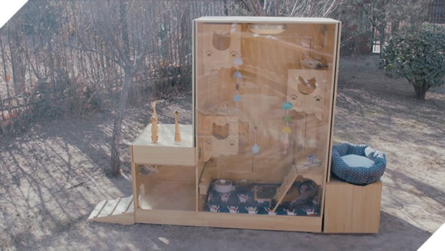 Cảm động với ngôi nhà thông minh cho mèo hoang ở Trung Quốc: Làm thủ công, trí tuệ nhân tạo xịn hơn người