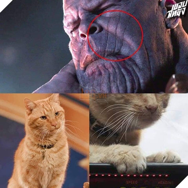 Tổng hợp ảnh chế siêu buồn cười của người hâm một dành cho Avengers: EndGame 6