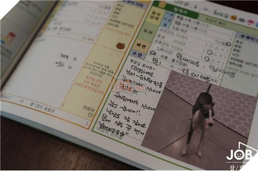 Thú cưng Hàn Quốc được đi học mẫu giáo: Ngày 6 tiết, có sổ liên lạc và kiểm tra bài cũ 8