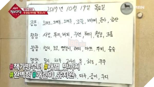 Thú cưng Hàn Quốc được đi học mẫu giáo: Ngày 6 tiết, có sổ liên lạc và kiểm tra bài cũ 3