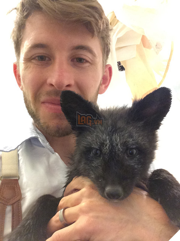 
Việc nuôi một con vật hoang dã trong nhà là điều rất khó nhưng có vẻ như cặp đôi này đã làm rất tốt công việc của mình.