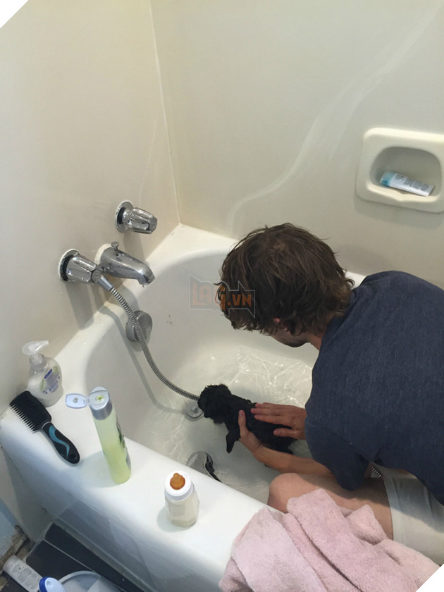 
Đây là lúc họ phải tắm rửa cho nó vì nó đi ngoài và dính khắp nơi.