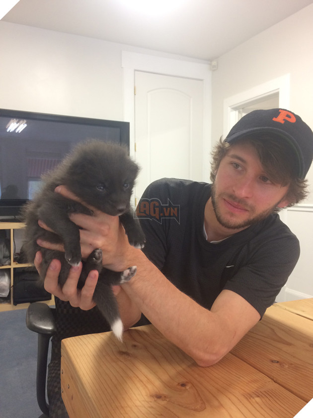 
Nhưng nếu có ai hỏi thì họ đều trả lời bừa rằng nó là một con chó.