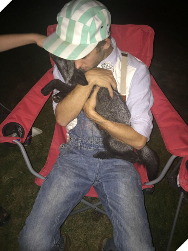 
Vì thế Kona vẫn tiếp tục ở lại ngôi nhà mà nó đã lớn lên bấy lâu nay, trở thành một thành viên của gia đình.