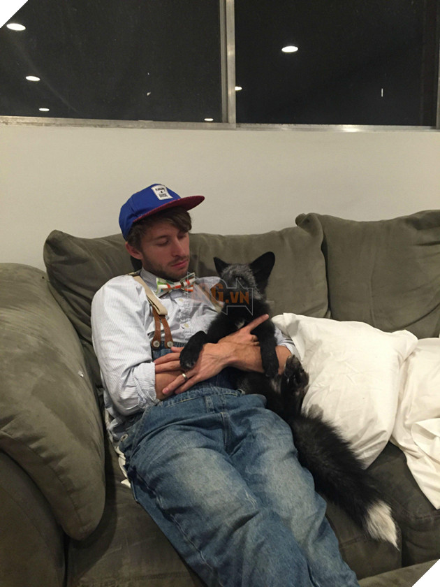 
Thậm chí Kona còn biết rất rõ là nó được yêu thương và cưng chiều nên nó lúc nào cũng nghĩ mình là thành viên quan trọng nhất trong gia đình.