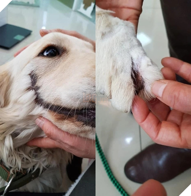 
Bobby bị rất nhiều vết thương khác nhau trên khắp cơ thể.