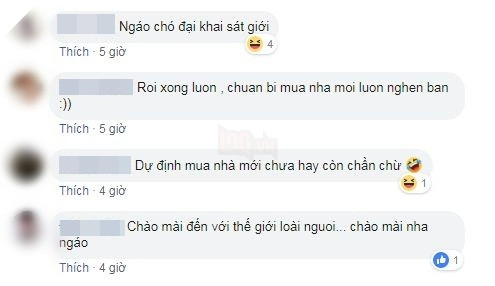 Khoảnh khắc boss đẻ bọc điều hiếm thấy gây sốt MXH: Tố chất ngáo đã có từ trong bọc 3