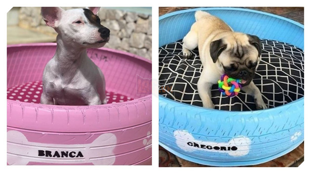 Chàng trai trẻ và ý tưởng biến những chiếc lốp cao su cũ thành giường cho thú cưng 4