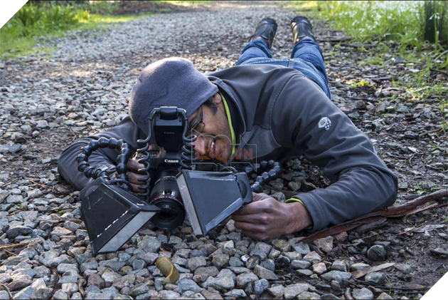 Thế giới động vật sống động qua lăng kính hài hước của các nhiếp ảnh gia 13