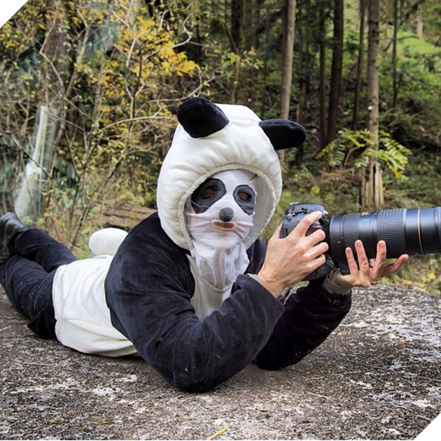 Thế giới động vật sống động qua lăng kính hài hước của các nhiếp ảnh gia