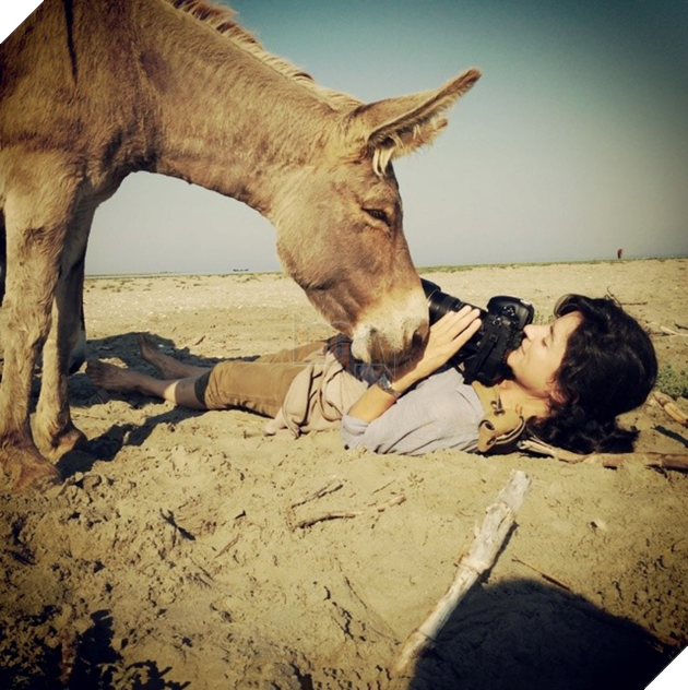 Thế giới động vật sống động qua lăng kính hài hước của các nhiếp ảnh gia 3