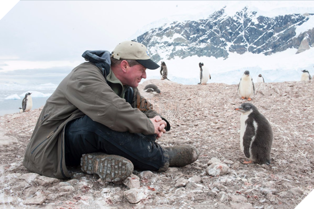 Thế giới động vật sống động qua lăng kính hài hước của các nhiếp ảnh gia 5