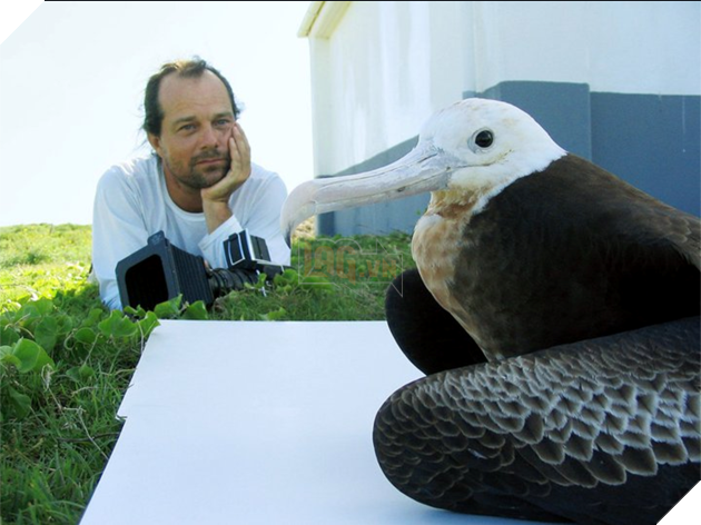 Thế giới động vật sống động qua lăng kính hài hước của các nhiếp ảnh gia 6