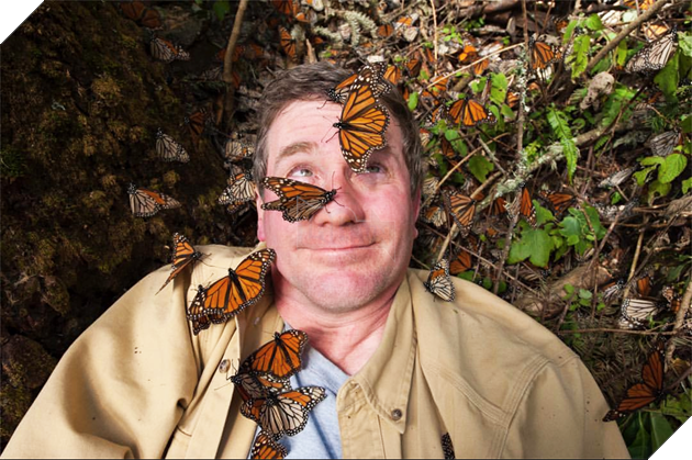 Thế giới động vật sống động qua lăng kính hài hước của các nhiếp ảnh gia 9