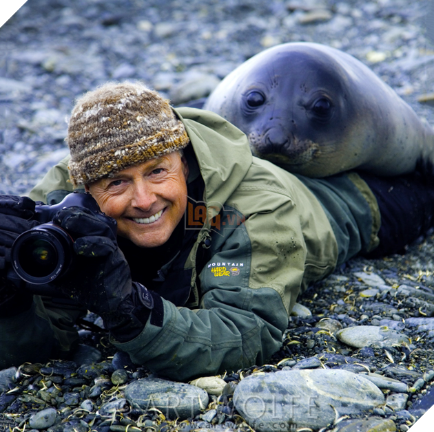 Thế giới động vật sống động qua lăng kính hài hước của các nhiếp ảnh gia 11