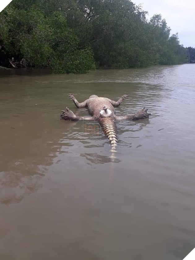 
“Vì gái mà ra nông nỗi này đấy anh em ạ”.