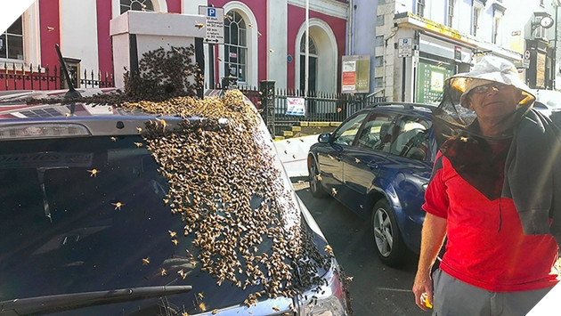 
Thế mà chúng vẫn quyết tâm đuổi theo cụ Carol về đến tận nhà.