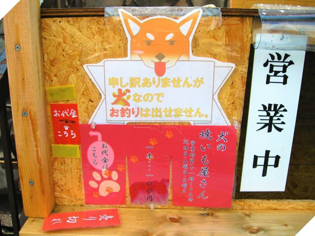 Chú chó shiba quản lý quầy khoai lang nướng ở Nhật khiến 5000 anh em mong mỏi được diện kiến một lần - Ảnh 5.