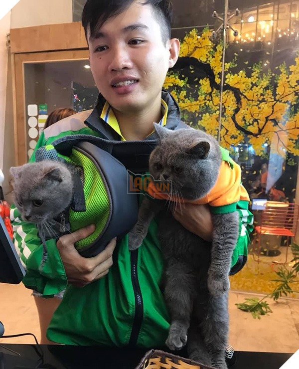 Đưa 'boss' đi làm cùng, chàng xe ôm công nghệ bị công ty khóa luôn tài khoản