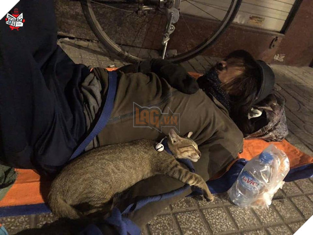 Chú mèo nhỏ nằm ngủ ngon lành trong vòng tay người đàn ông lang thang trên vỉa hè khiến nhiều người thương cảm 2