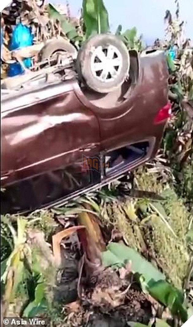 Kh&#244;ng t&#236;m được bạn g&#225;i, ch&#250; voi Trung Quốc đi&#234;n cuồng ph&#225; ph&#225;ch cả con phố - Ảnh 1.