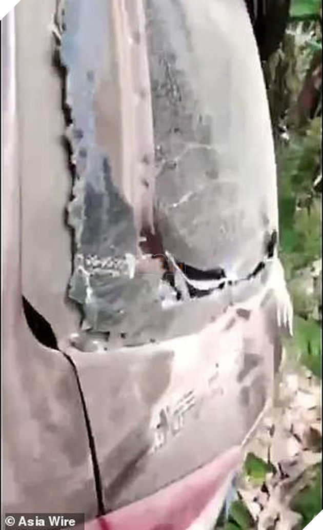 Kh&#244;ng t&#236;m được bạn g&#225;i, ch&#250; voi Trung Quốc đi&#234;n cuồng ph&#225; ph&#225;ch cả con phố - Ảnh 1.