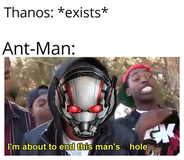 Thanos: *exists* Ant-Man: I'm about to end this man's hole
