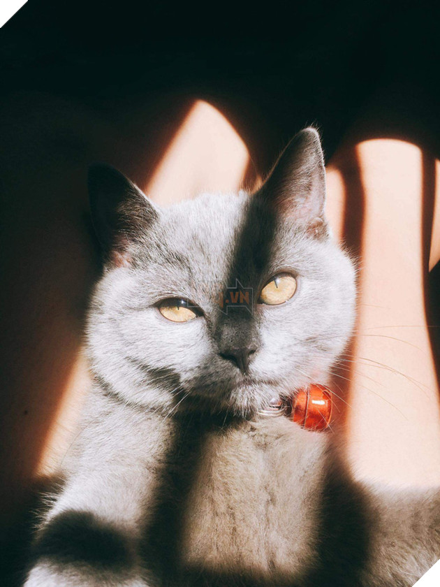 Gặp gỡ 'con sen' xinh như hotgirl và 'hoàng thượng' đang 'làm mưa làm gió' mạng xã hội