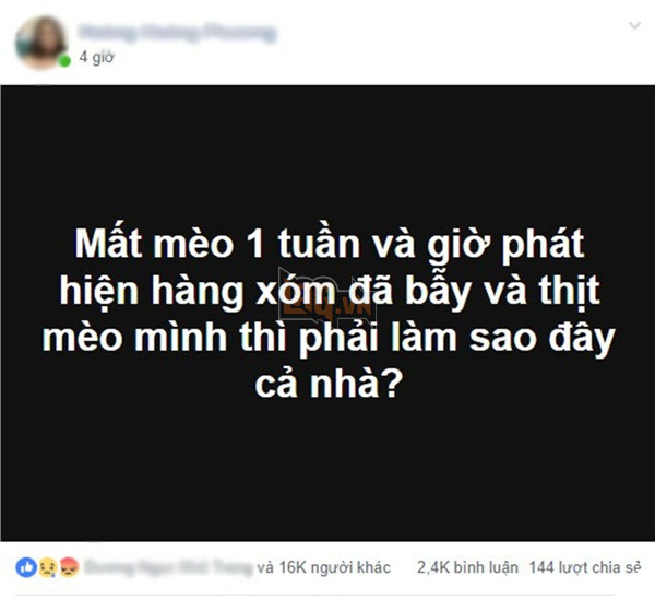 Cô gái 'cầu cứu': ‘Mất mèo 1 tuần và giờ phát hiện hàng xóm đã bẫy và thịt mèo mình thì phải làm sao đây cả nhà?'