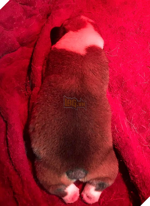 Rồi 7 ngày tuổi...