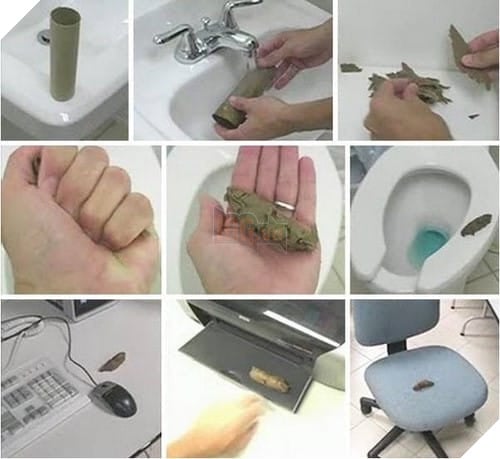 tro dua ngay ca thang 4