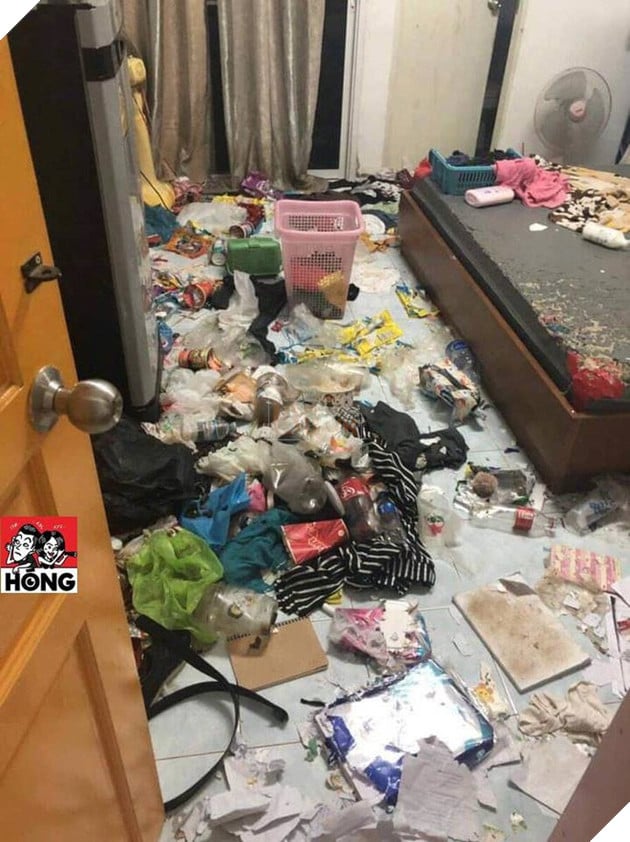 Xôn xao câu chuyện cô gái bùng tiền nhà trọ để lại căn phòng như bãi rác và 3 chú mèo ốm đói gây phẫn nộ - Ảnh 4.