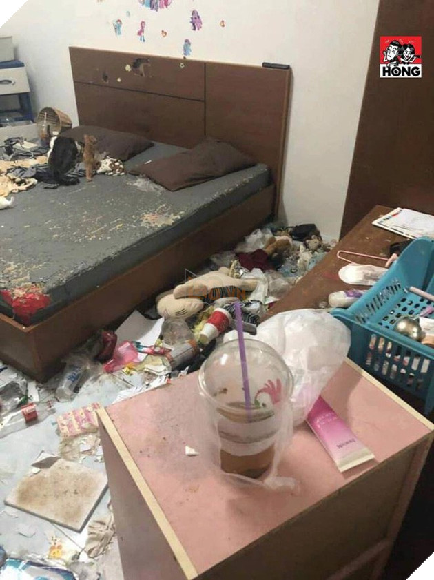 Xôn xao câu chuyện cô gái bùng tiền nhà trọ để lại căn phòng như bãi rác và 3 chú mèo ốm đói gây phẫn nộ - Ảnh 1.