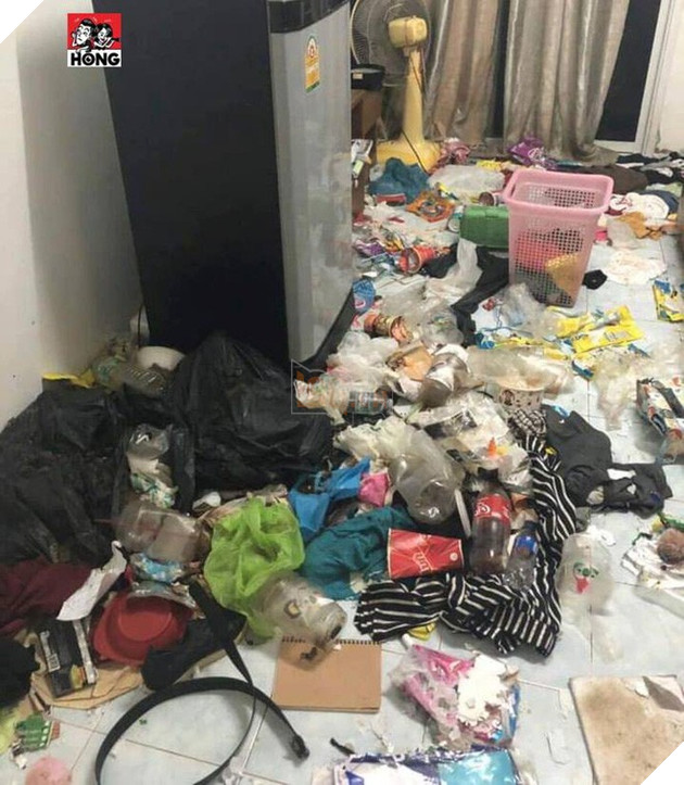 Xôn xao câu chuyện cô gái bùng tiền nhà trọ để lại căn phòng như bãi rác và 3 chú mèo ốm đói gây phẫn nộ - Ảnh 5.