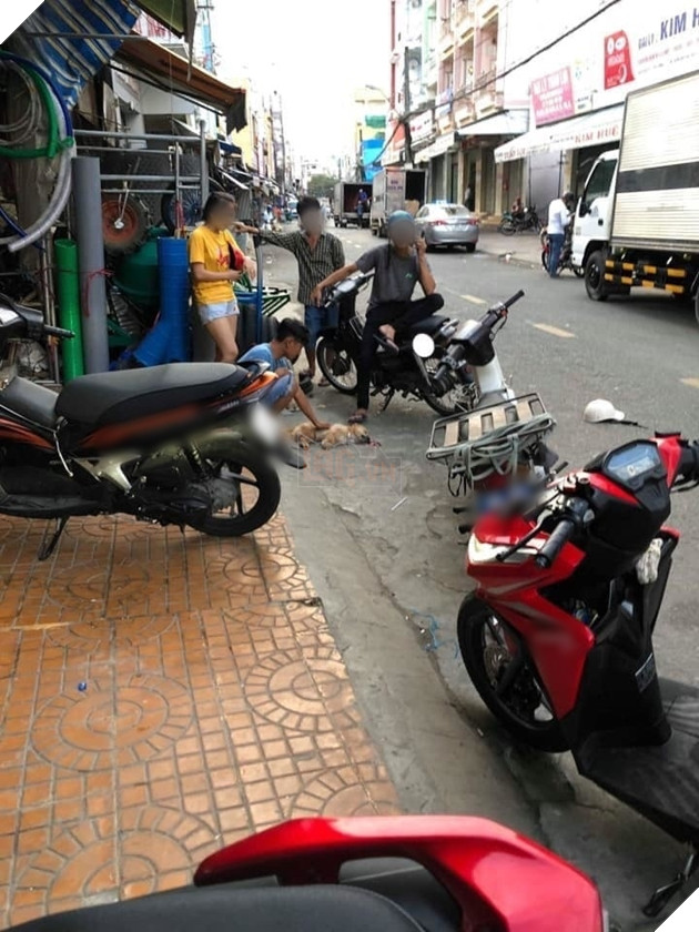 Thanh niên đánh chết chú chó nhỏ vì tè bậy ngoài đường: Có cần thiết phải nhẫn tâm như thế?