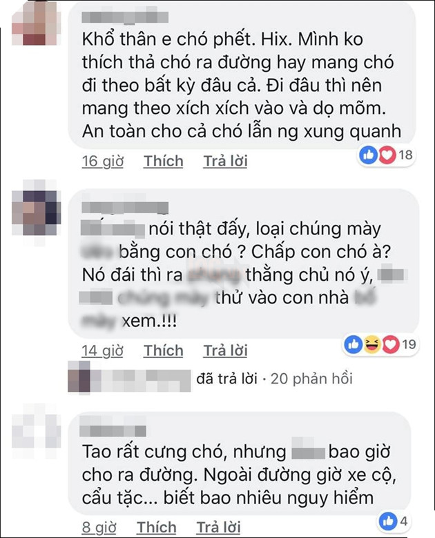 Thanh niên đánh chết chú chó nhỏ vì tè bậy ngoài đường: Có cần thiết phải nhẫn tâm như thế?