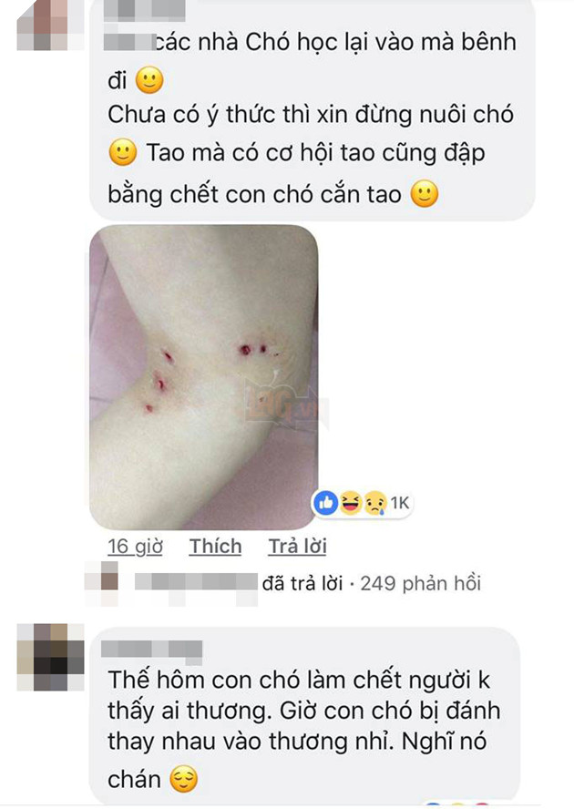 Thanh niên đánh chết chú chó nhỏ vì tè bậy ngoài đường: Có cần thiết phải nhẫn tâm như thế?