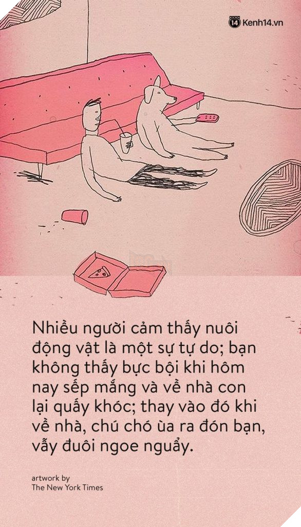 Xu hướng của người trẻ hiện đại: Nhận chó mèo làm con nhưng quyết không sinh nở? 8