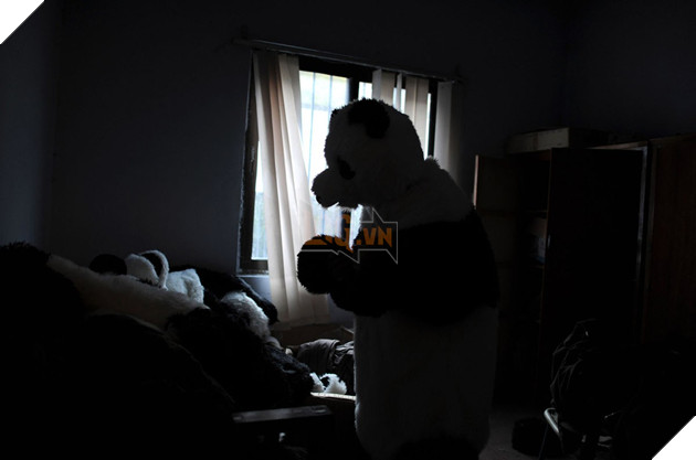 Nghề nghiệp đáng yêu nhất thế giới: Đóng giả làm gấu trúc để chơi đùa, chăm sóc gấu con - Ảnh 3.