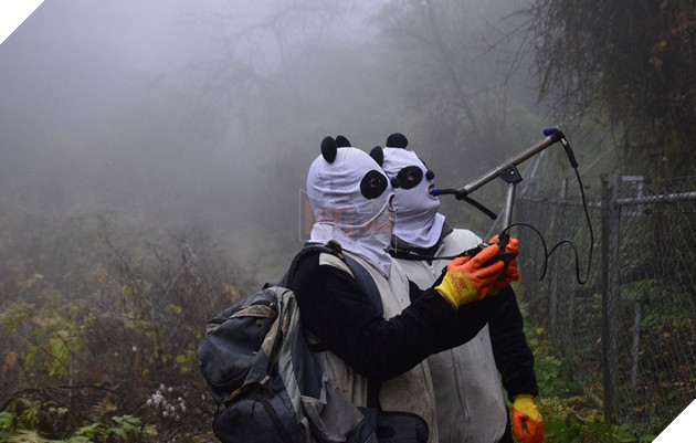 Nghề nghiệp đáng yêu nhất thế giới: Đóng giả làm gấu trúc để chơi đùa, chăm sóc gấu con - Ảnh 8.