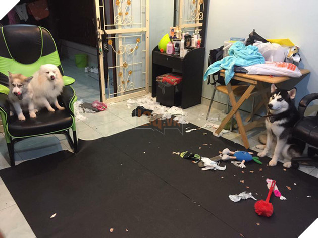 Điều g&#236; tệ hơn nu&#244;i 1 con boss ph&#225; ph&#225;ch? Đ&#243; l&#224; nu&#244;i 1 bầy 4 con! - Ảnh 1.