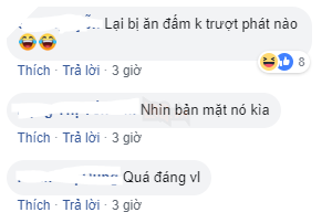Góc hài hước: Husky 'ngáo' nổi cơn gặm đứt quả dưa hấu 'sen' trồng rồi còn tỏ thái độ 'lồi lõm'