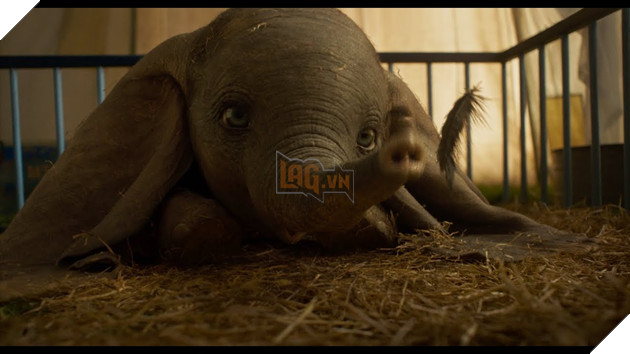 Dẫn đầu phòng vé Bắc Mỹ, Dumbo: Chú voi biết bay có gì? 2