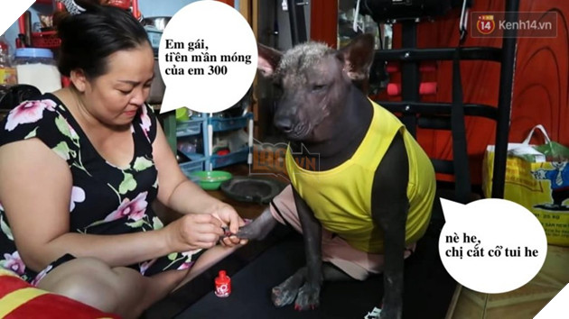 Câu chuyện tình bạn đáng yêu giữa bé chó xấu xí bị bỏ rơi và người mẹ đơn thân ở Sài Gòn 4