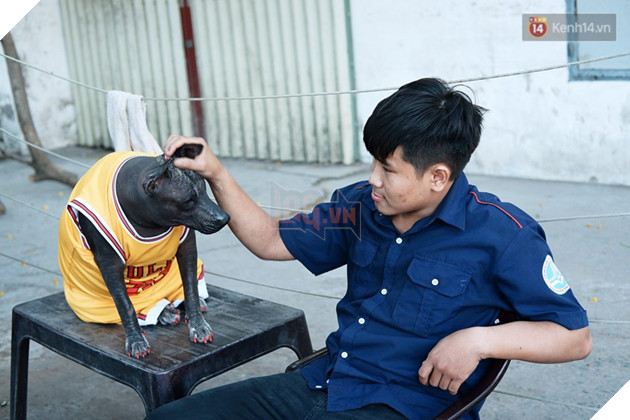 Câu chuyện tình bạn đáng yêu giữa bé chó xấu xí bị bỏ rơi và người mẹ đơn thân ở Sài Gòn 3